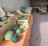 IMG_6824