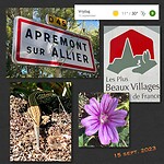 IMG_6800