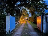 IMG_6798