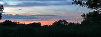IMG_6792