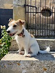 IMG_6766