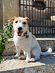 IMG_6764