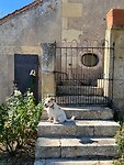 IMG_6760
