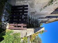 IMG_6711