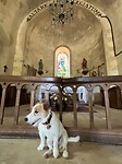 IMG_6737