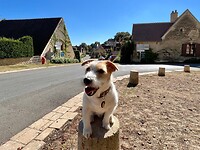 IMG_6749