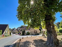 IMG_6744
