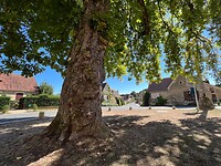 IMG_6718