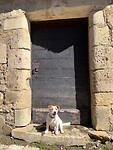 IMG_6698