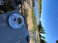 IMG_6686