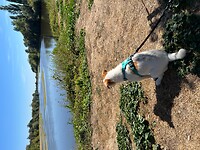 IMG_6678