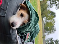 IMG_1674