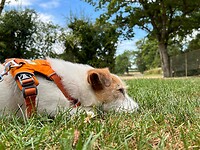 IMG_1615