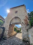 IMG_6618