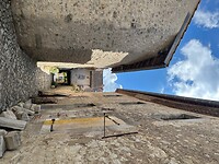 IMG_6601