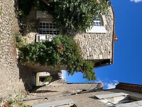 IMG_6600