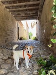 IMG_6580
