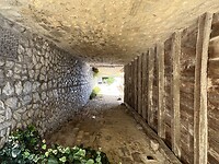 IMG_6576