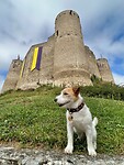 IMG_6532