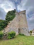 IMG_6517