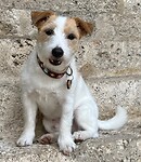 IMG_6511