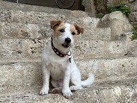 IMG_6510