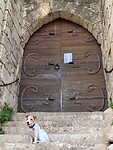 IMG_6501