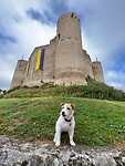 IMG_6480