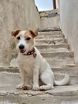 IMG_6474
