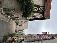 IMG_6454