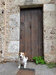 IMG_6447