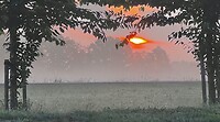 IMG_4439