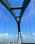IMG_4457