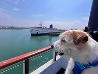 IMG_4482