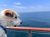 IMG_4494