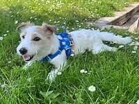 IMG_4511