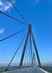 IMG_4519