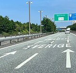IMG_4536