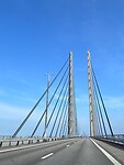 IMG_4547