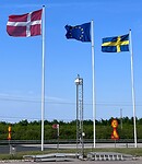 IMG_4551
