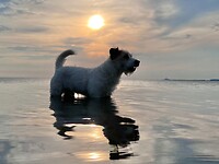 IMG_4569