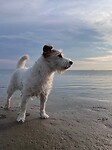 IMG_4583