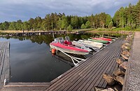 IMG_4631