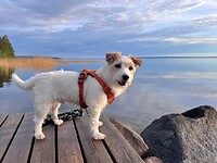 IMG_4643