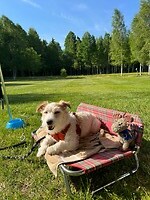 IMG_7351