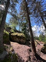 IMG_4726