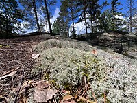IMG_4727