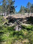 IMG_4738