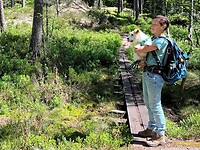 IMG_4742