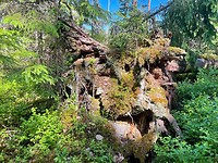 IMG_4769